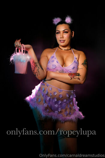 carnaldreamstudios