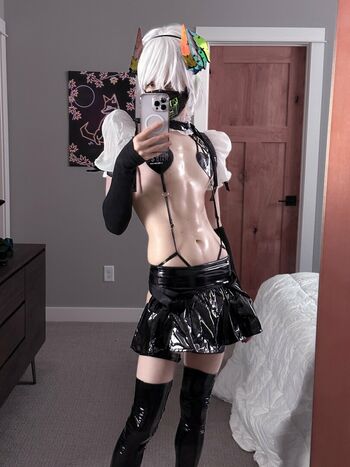 Catboiaoi