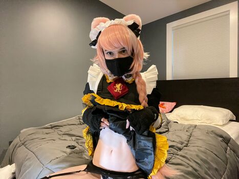 Catboiaoi