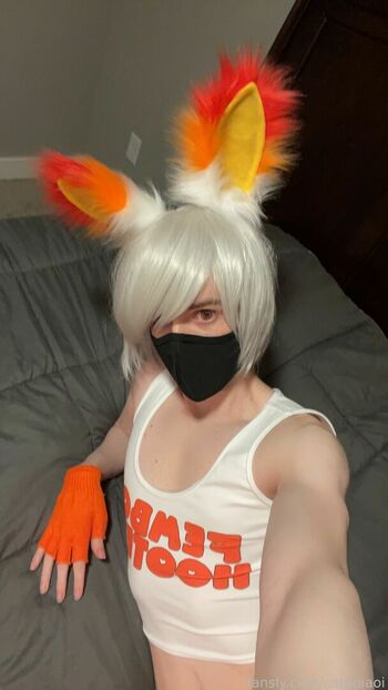 Catboiaoi