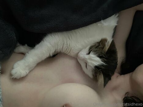 catsidhexo