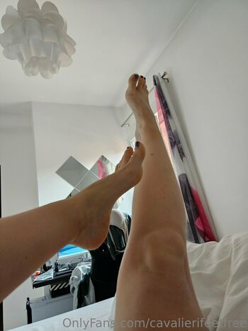 cavalierifeetfree