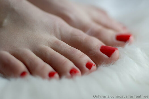 cavalierifeetfree
