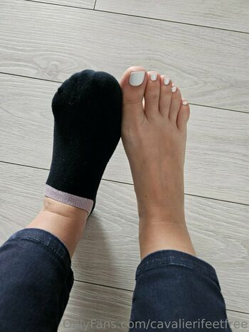 cavalierifeetfree