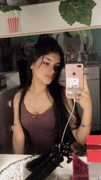 chanitax