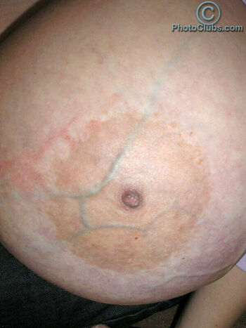 Chelsea Charms