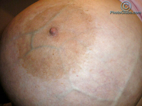 Chelsea Charms