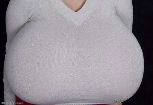 Chelsea Charms