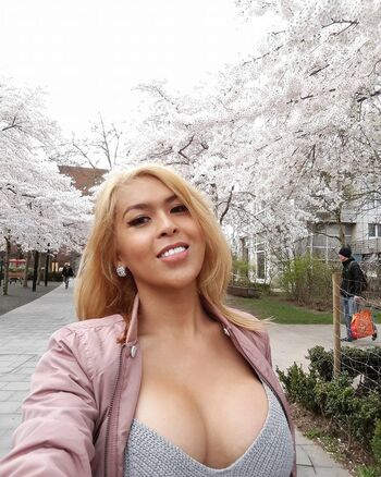 Chixywilson
