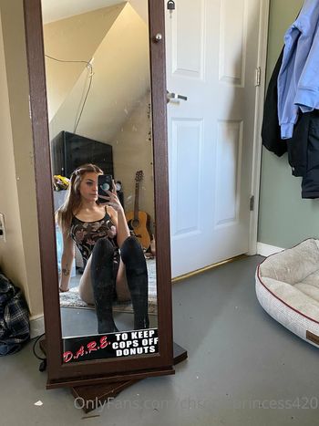 chronicprincess420