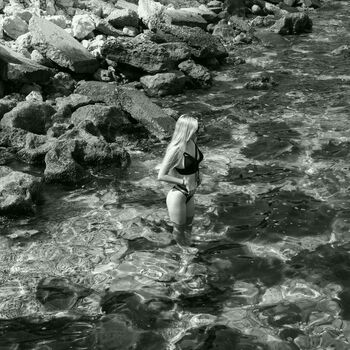 corni__