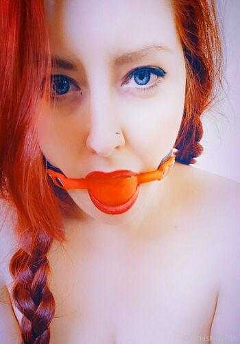 curiouskittypremium