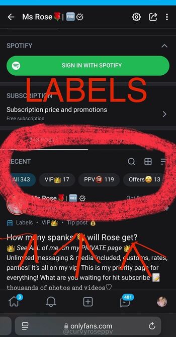 curvyroseppv