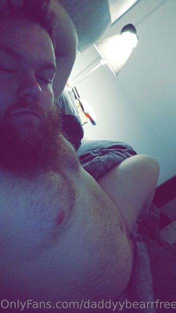 daddyybearrfree