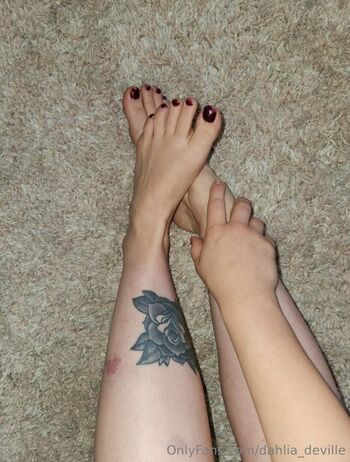 dahlia_deville