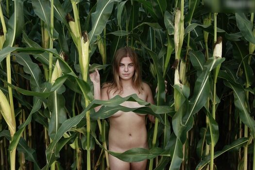 Dairy lena