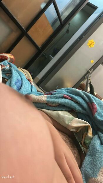 DairyCow_xx