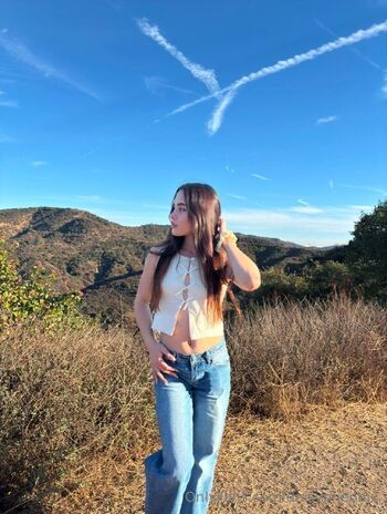 daisypheonix