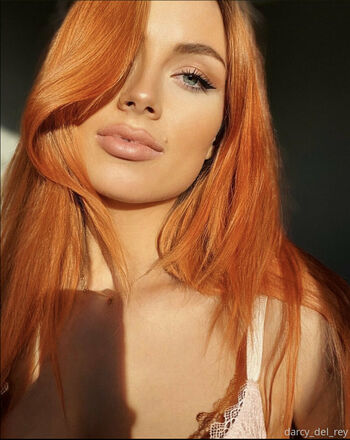 Darcy del Rey