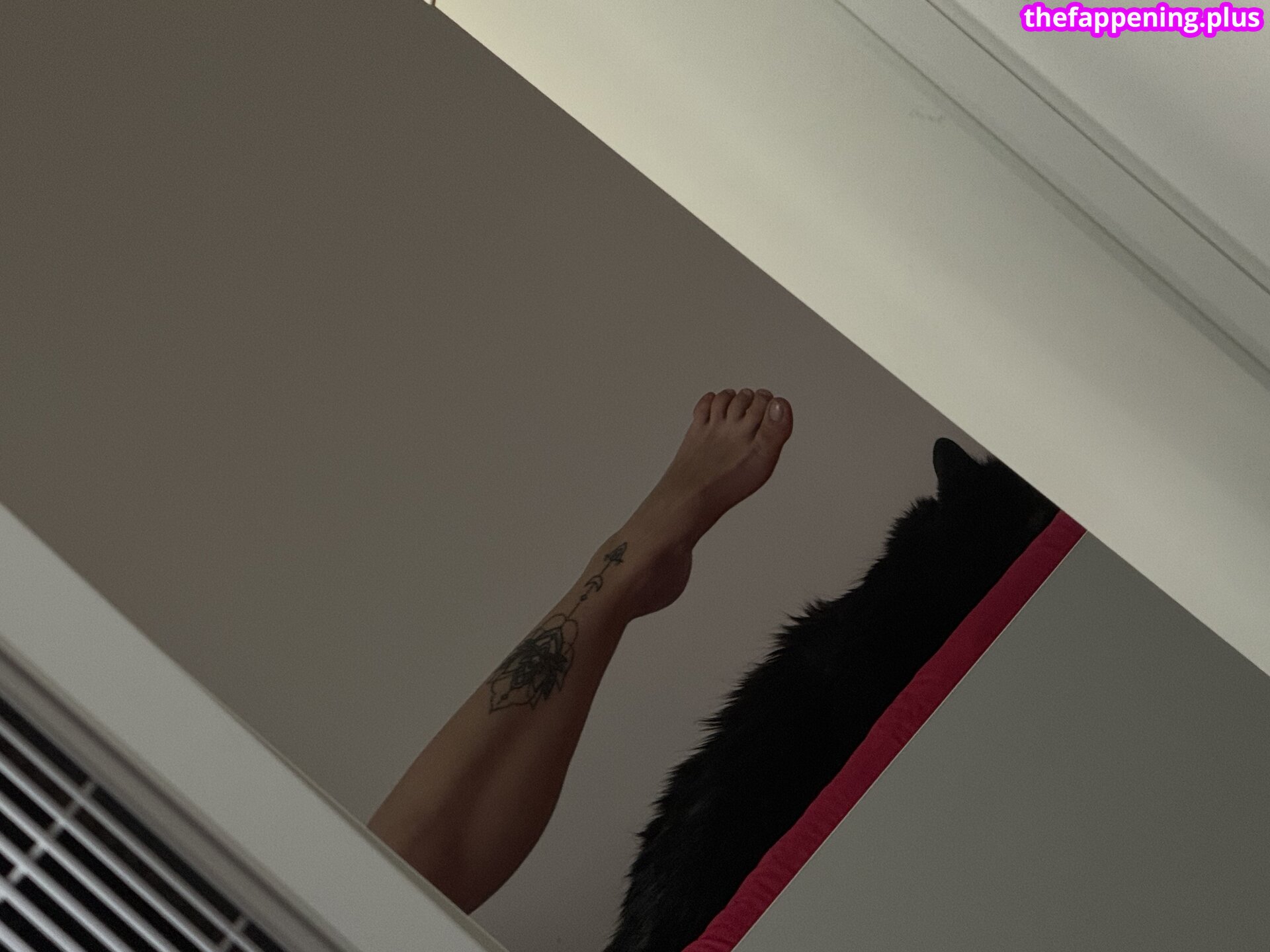 darina_cat
