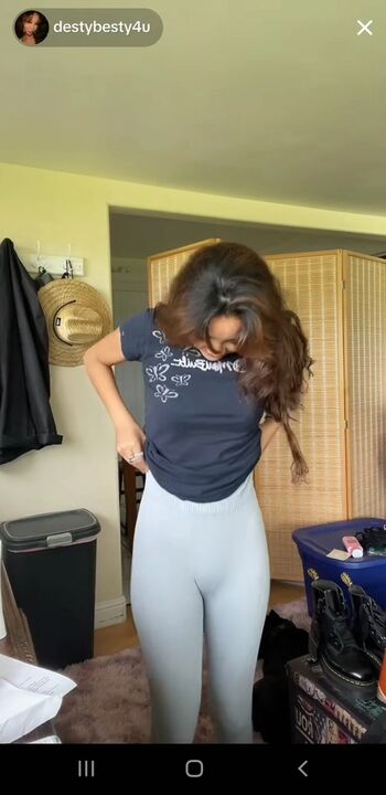 destybesty4