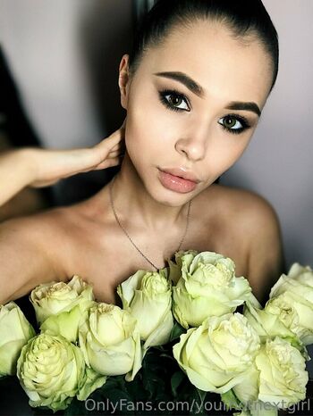 diana.journ