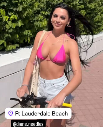 dianeneedles