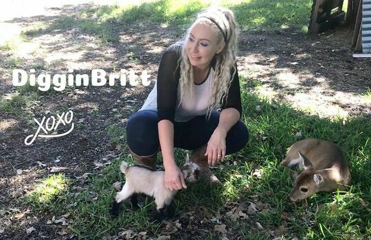DigginBritt