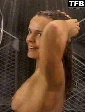 Dina Meyer