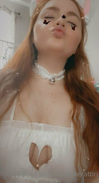 dovecattiri