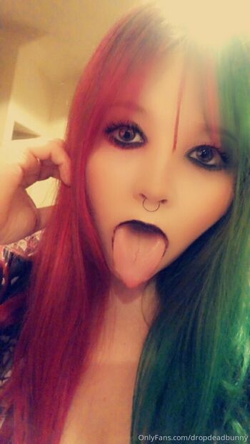 dropdeadbunny
