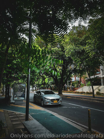eldiariodeunafotografa
