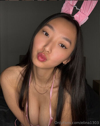 elina1303