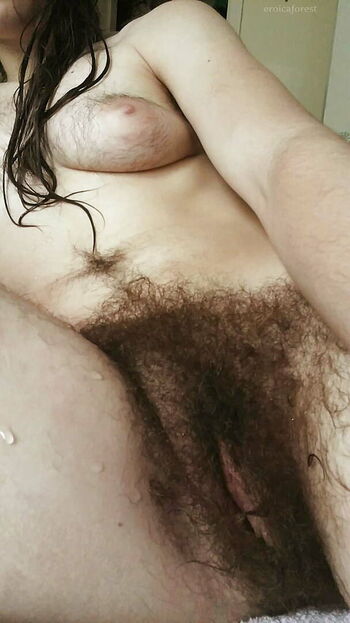 eroicaforest