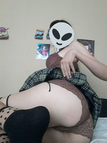 Estela.su