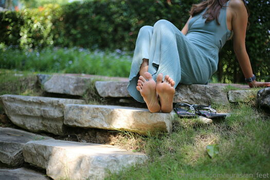 eurasian_feet