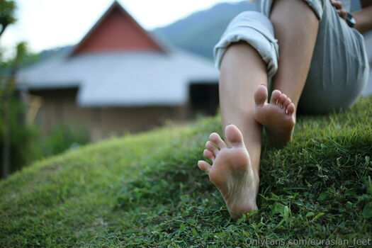 eurasian_feet