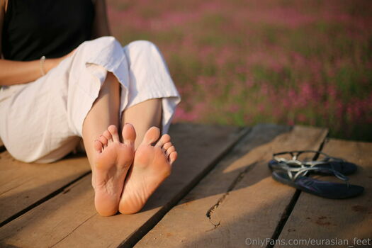 eurasian_feet