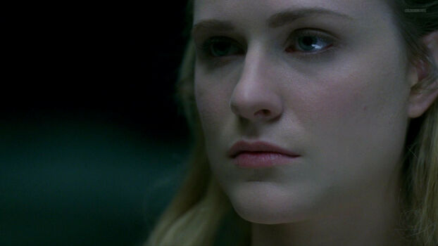 Evan Rachel Wood