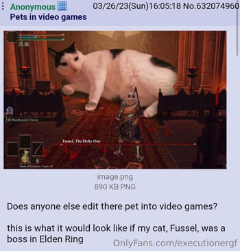 executionergf