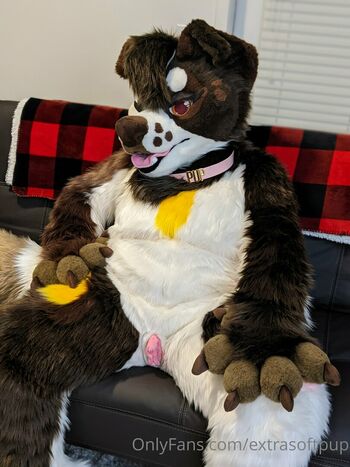 extrasoftpup