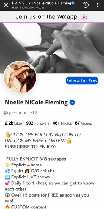 Fansly Noelle