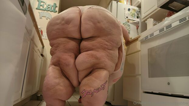 fatmisstssbbw