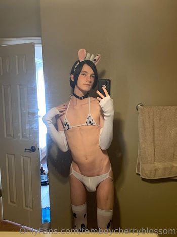 femboycherryblossom