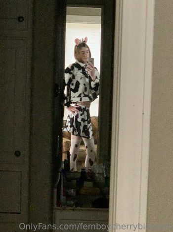 femboycherryblossom