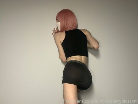 femboycherryblossom
