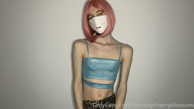 femboycherryblossom