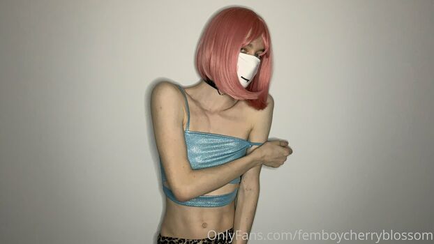 femboycherryblossom