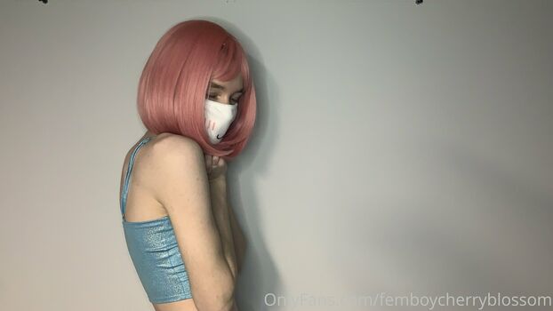 femboycherryblossom