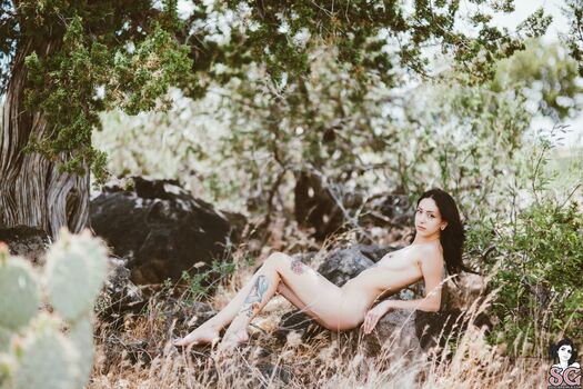 Feryn Suicide